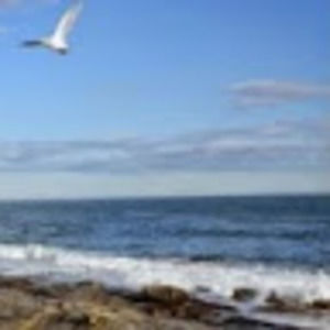 Meet your Posher, Betsy